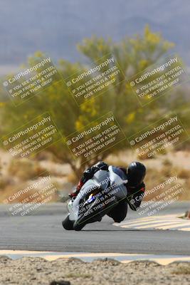 media/Apr-10-2022-SoCal Trackdays (Sun) [[f104b12566]]/Turn 5 Tree of Life (1040am)/